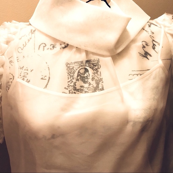 SOLD SOLD SOLD $595 NWT St. John Couture Raw Silk Semi Sheer Top - Picture 4 of 10